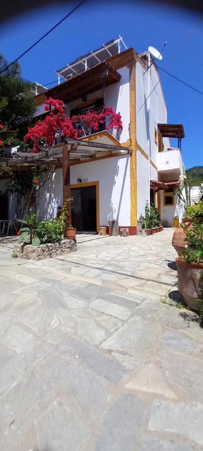Nikis Apartments Agios Gordios  Exteriör bild