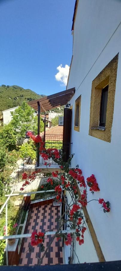 Nikis Apartments Agios Gordios  Exteriör bild